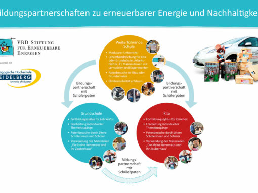 Organigramm Bildungspartner