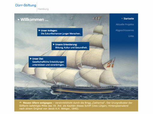 Dürr Stiftung Hamburg, Internetauftritt
